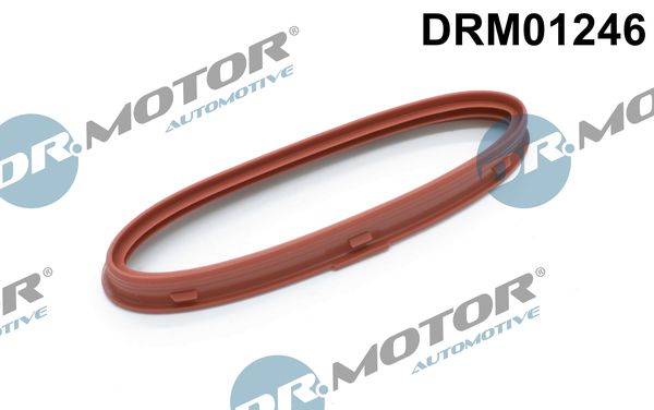 Dr.Motor Automotive DRM01246 Seal Ring, charger