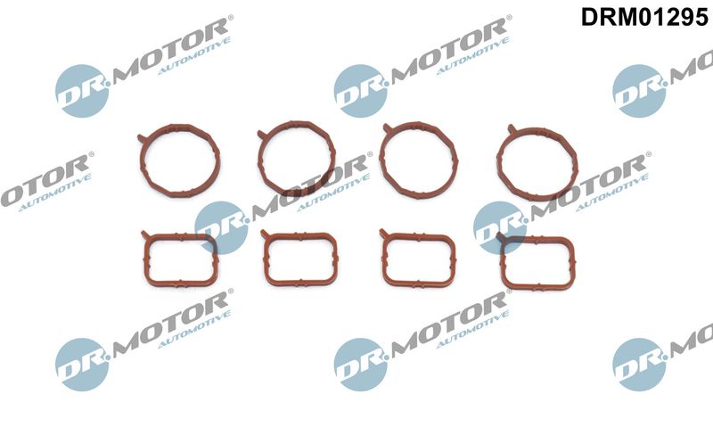 Dr.Motor Automotive DRM01295 Gasket Set, intake manifold