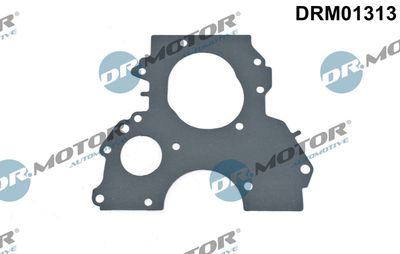 Gasket, timing case Dr.Motor Automotive DRM01313