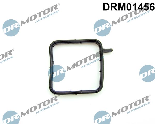 Dr.Motor Automotive DRM01456 Seal, coolant pipe