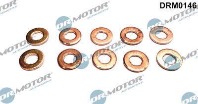 Heat Shield, injection system Dr.Motor Automotive DRM0146