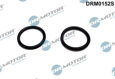Gasket, intake air preheating heater flange Dr.Motor Automotive DRM0152S