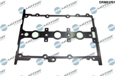 Gasket, cylinder head cover Dr.Motor Automotive DRM01701