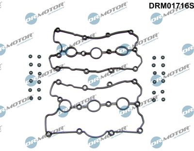 Gasket Set, cylinder head cover Dr.Motor Automotive DRM01716S