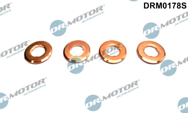 Dr.Motor Automotive DRM0178S Heat Shield, injection system
