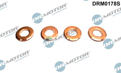 Heat Shield, injection system Dr.Motor Automotive DRM0178S