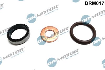 Seal Kit, injector nozzle Dr.Motor Automotive DRM017