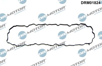 Gasket, oil sump Dr.Motor Automotive DRM01824