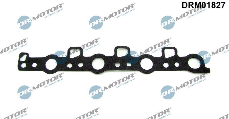 Dr.Motor Automotive DRM01827 Seal, camshaft seal cap