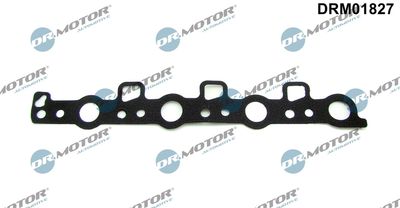 Seal, camshaft seal cap Dr.Motor Automotive DRM01827