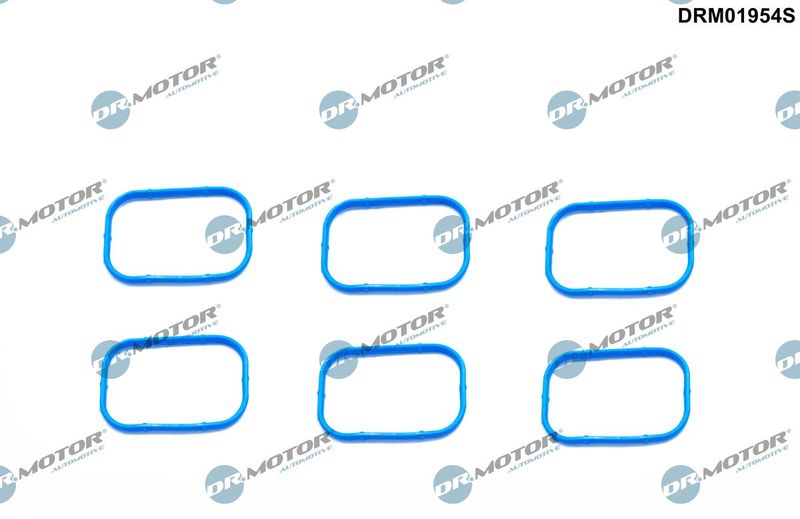Dr.Motor Automotive DRM01954S Gasket Set, intake manifold