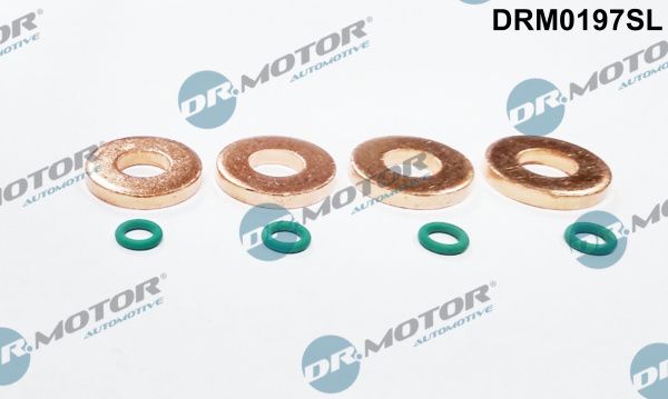 Dr.Motor Automotive DRM0197SL Seal Kit, injector nozzle
