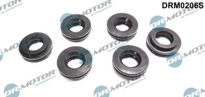 Seal, injector holder Dr.Motor Automotive DRM0206S