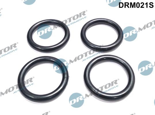 Dr.Motor Automotive DRM021S Gasket, intake manifold