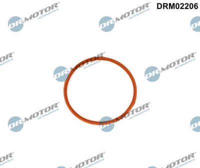 Gasket, throttle body Dr.Motor Automotive DRM02206