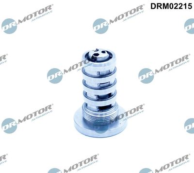Control Valve, camshaft adjustment Dr.Motor Automotive DRM02215