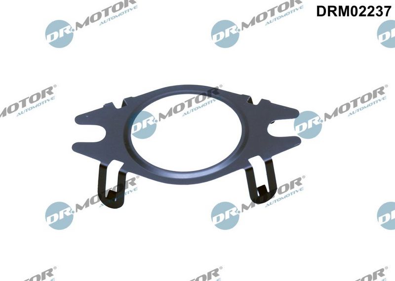 Dr.Motor Automotive DRM02237 Gasket, EGR valve pipe