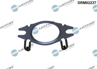 Gasket, EGR valve pipe Dr.Motor Automotive DRM02237