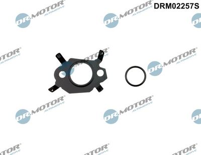 Gasket Set, EGR system Dr.Motor Automotive DRM02257S