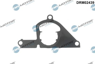 Gasket, vacuum pump Dr.Motor Automotive DRM02439