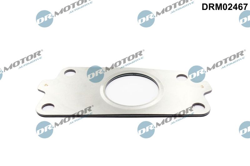 Dr.Motor Automotive DRM02467 Gasket, charger