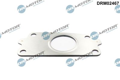 Gasket, charger Dr.Motor Automotive DRM02467