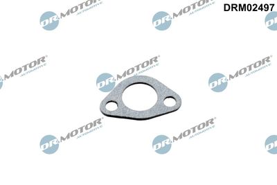 Seal, coolant pipe Dr.Motor Automotive DRM02497