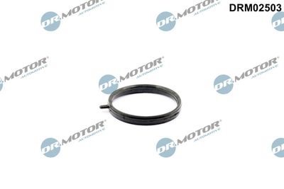 Seal, coolant pipe Dr.Motor Automotive DRM02503