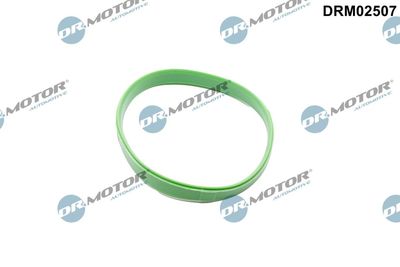 Gasket, throttle body Dr.Motor Automotive DRM02507