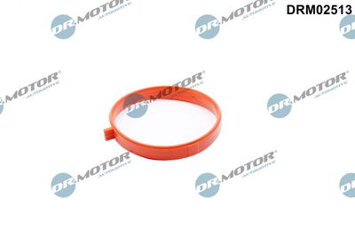 Gasket, throttle body Dr.Motor Automotive DRM02513