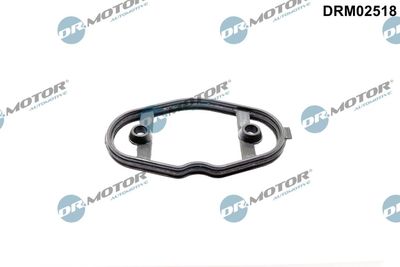 Gasket, fuel pump Dr.Motor Automotive DRM02518