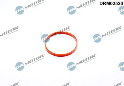 Gasket, throttle body Dr.Motor Automotive DRM02520