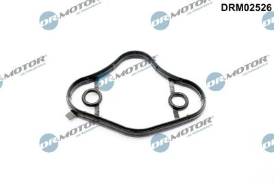 Gasket, fuel pump Dr.Motor Automotive DRM02526