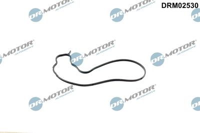 Gasket, water pump Dr.Motor Automotive DRM02530