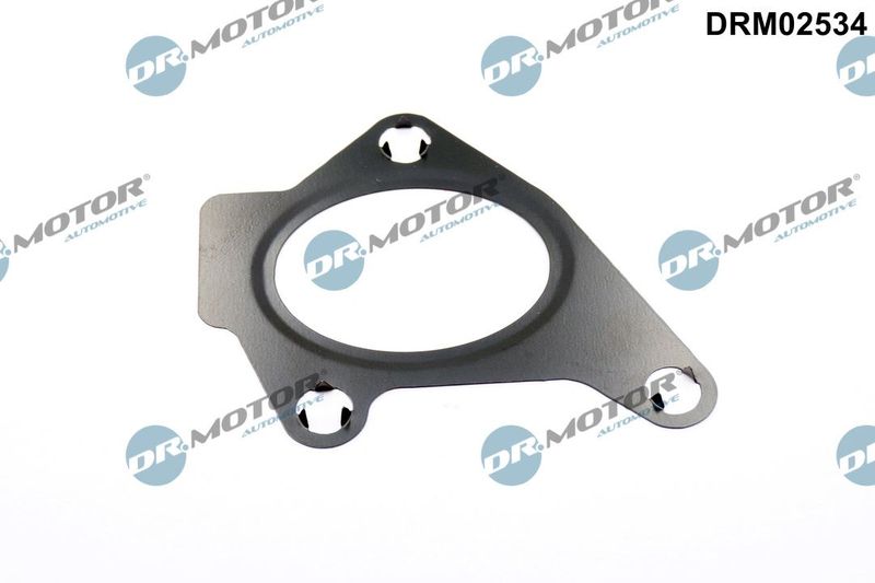 Dr.Motor Automotive DRM02534 Gasket, intake manifold