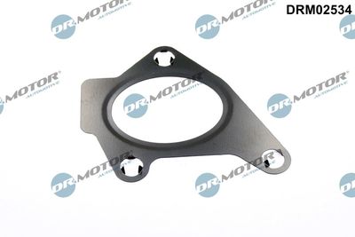 Gasket, intake manifold Dr.Motor Automotive DRM02534