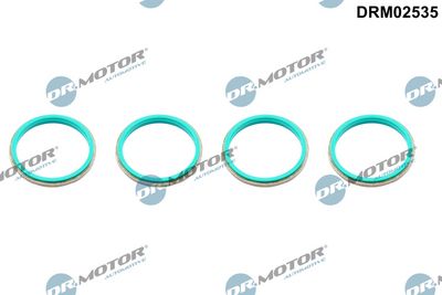 Gasket, cylinder head cover Dr.Motor Automotive DRM02535