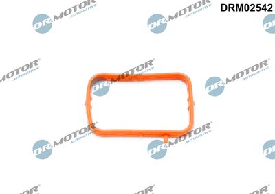 Gasket, thermostat housing Dr.Motor Automotive DRM02542