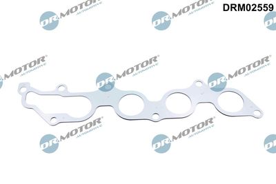 Gasket, exhaust manifold Dr.Motor Automotive DRM02559