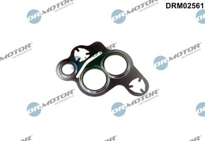 Gasket, EGR valve Dr.Motor Automotive DRM02561