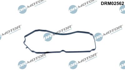 Gasket, crankcase ventilation Dr.Motor Automotive DRM02562