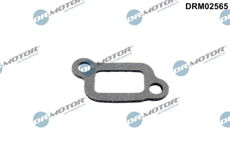 Dr.Motor Automotive DRM02565 Gasket, thermostat housing