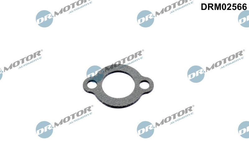 Dr.Motor Automotive DRM02566 Seal, coolant pipe