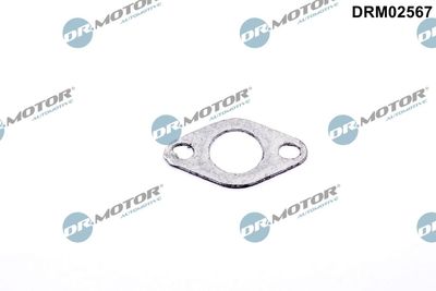 Gasket, secondary air valve Dr.Motor Automotive DRM02567