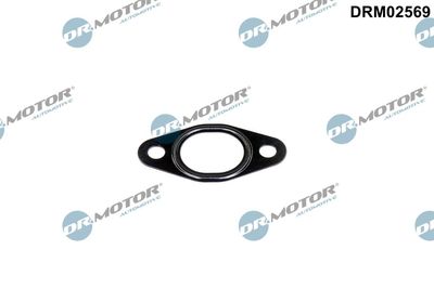 Gasket, EGR valve pipe Dr.Motor Automotive DRM02569