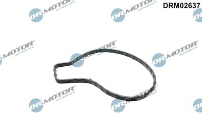 Gasket, water pump Dr.Motor Automotive DRM02637