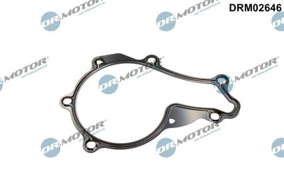 Gasket, water pump Dr.Motor Automotive DRM02646