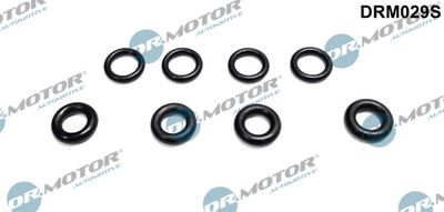 Seal Ring, injector Dr.Motor Automotive DRM029S