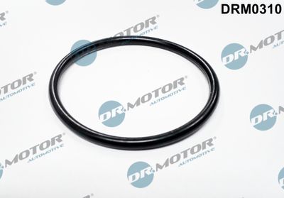 Gasket, throttle body Dr.Motor Automotive DRM0310