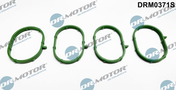 Dr.Motor Automotive DRM0371S Gasket Set, intake manifold